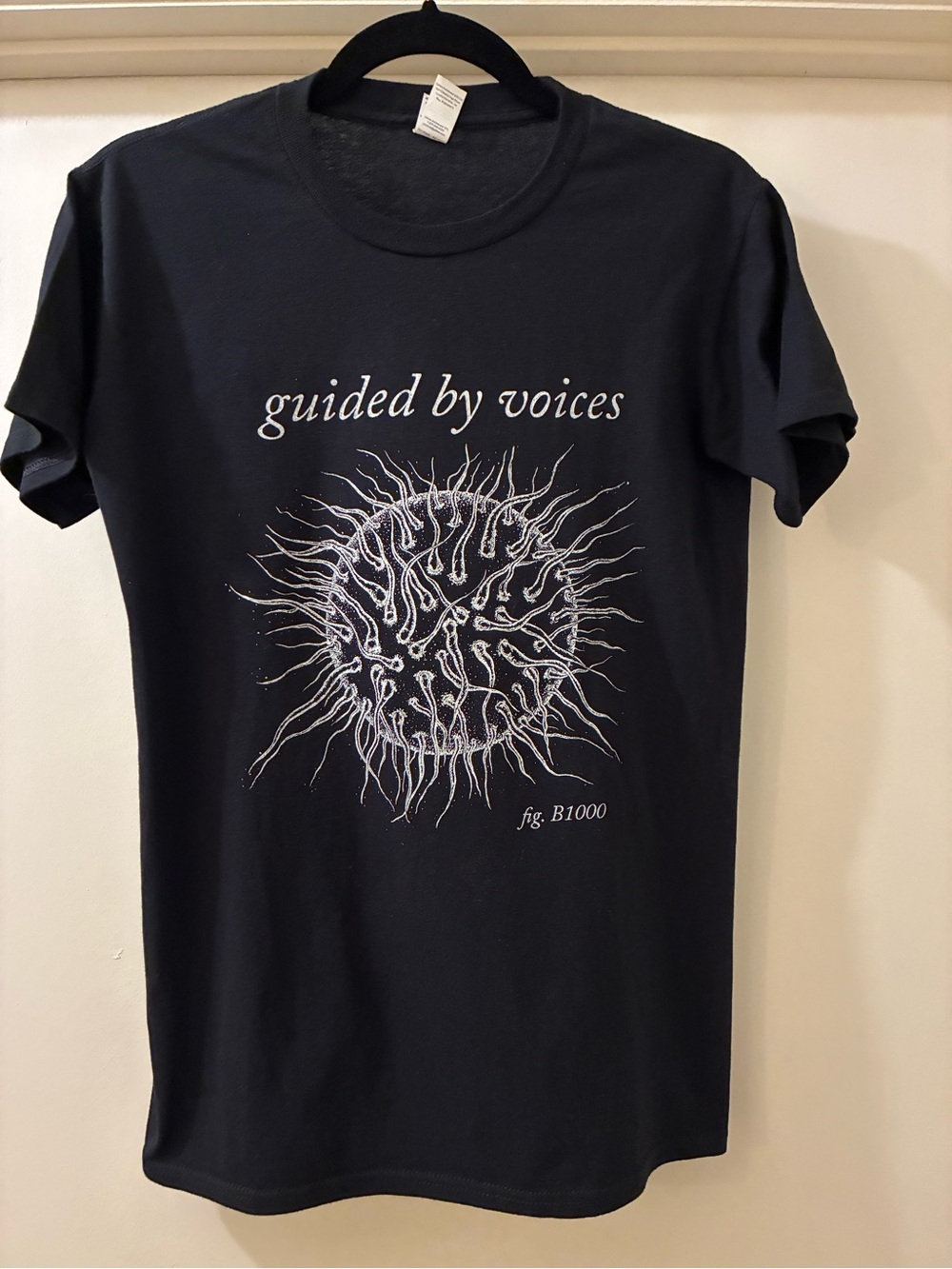 Brand New Anvil S Black Guided By Voices Graphic Tee (bought at concert)